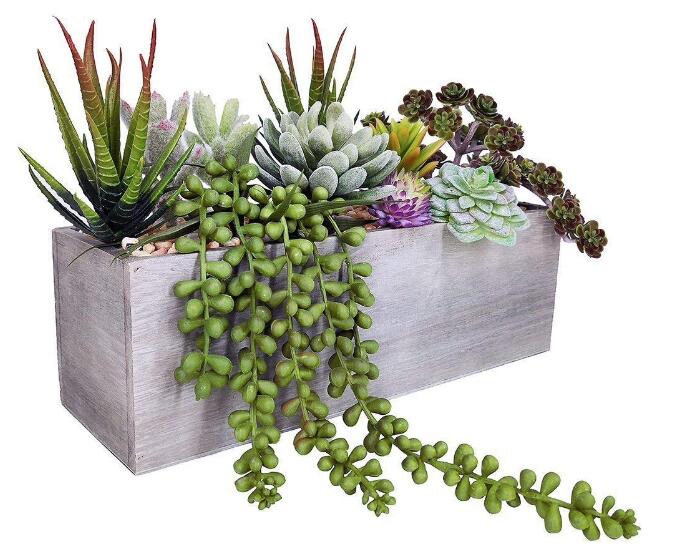 Artificial Succulent