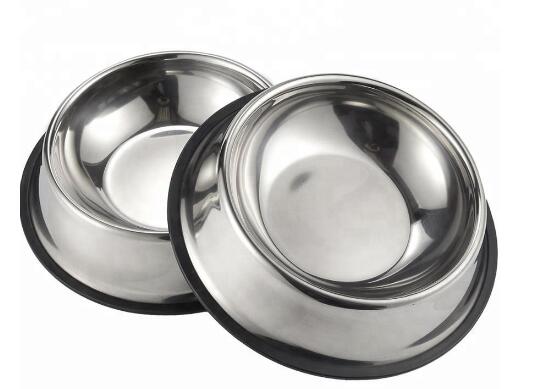 Dog Bowl