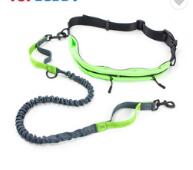 Dog Leash D1
