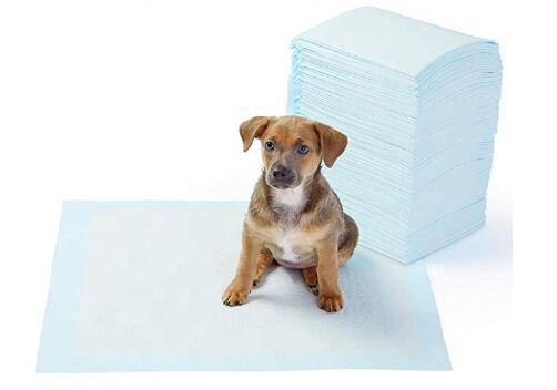 Dog Pet Training Puppy Pee Pads