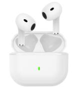 Earbuds #223