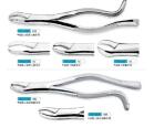 Surgical Instrument Stainless Steel Dental Extracting Forceps