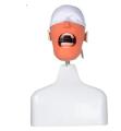 Teaching Attachments Dental Simulation Unit Dental Phantom Head